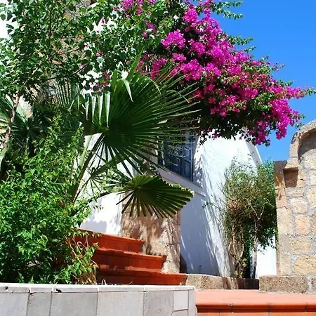 Theofilos House